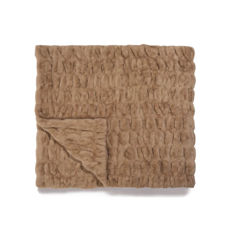 Chilean Walnut Brown